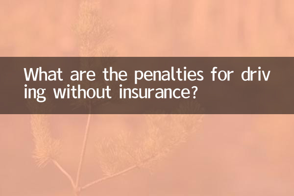 보험 없이 운전하면 어떤 처벌을 받게 되나요?