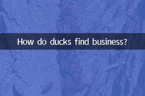 Como os patos encontram negócios?