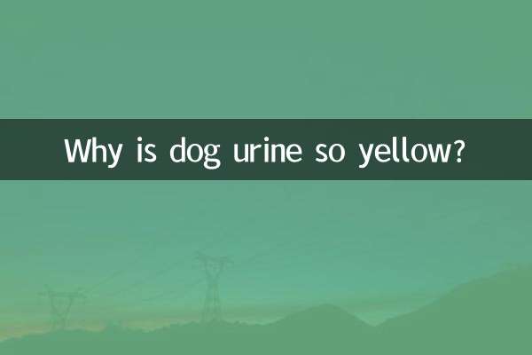 犬の尿はなぜあんなに黄色いのでしょうか？