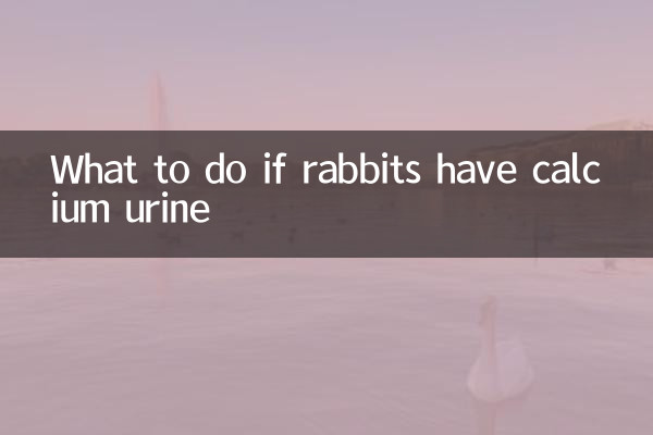 What to do if rabbits have calcium urine