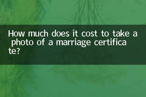 ¿Cuánto cuesta tomar una fotografía de un certificado de matrimonio?