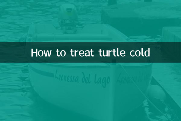 How to treat turtle cold