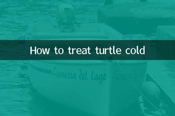 How to treat turtle cold