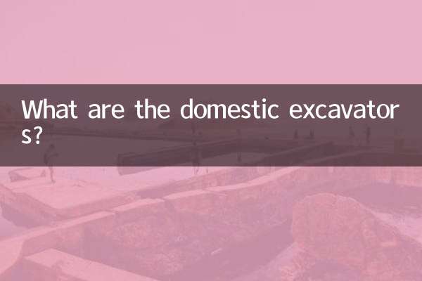 গার্হস্থ্য excavators কি?