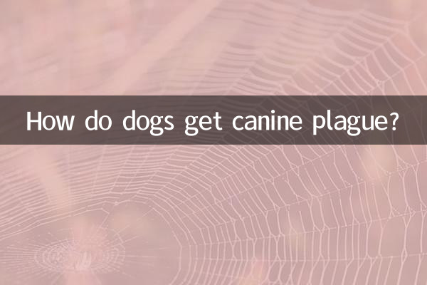Como os cães contraem a peste canina?