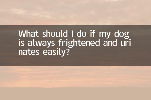 강아지가 항상 겁을 먹고 소변을 잘 보는 경우 어떻게 해야 하나요?