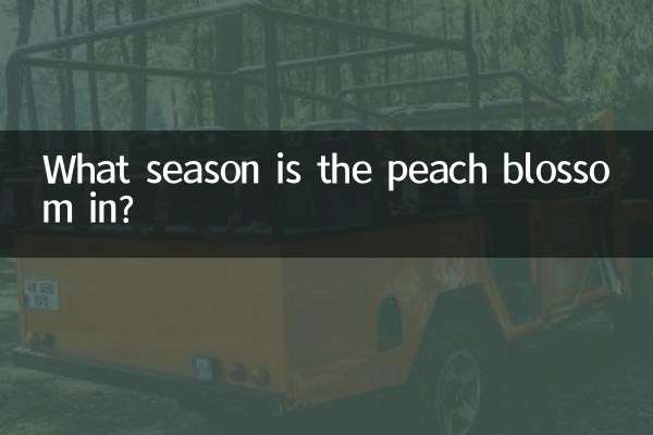 في أي موسم يزهر الخوخ؟