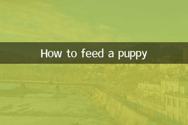 एक पिल्ले को कैसे खिलाएं