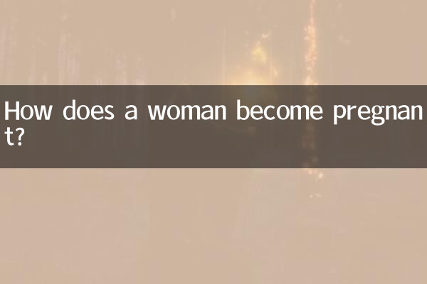 چگونه یک زن باردار می شود؟
