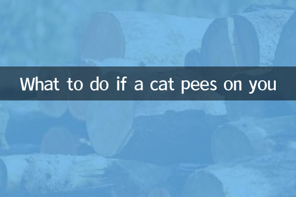 Que faire si un chat vous fait pipi dessus