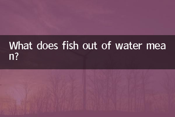 Was bedeutet Fisch außerhalb des Wassers?