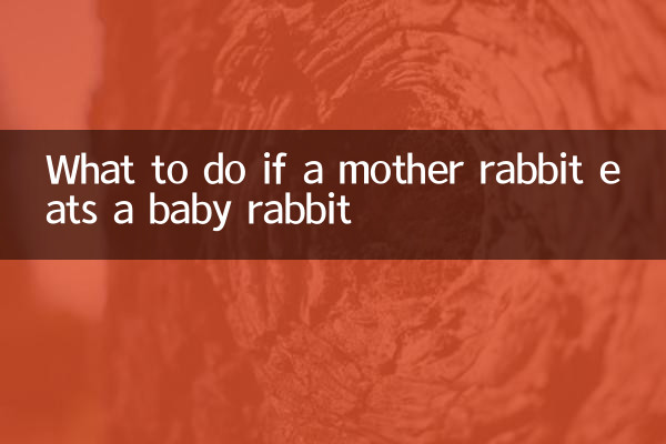 کیا کریں اگر ماں کا خرگوش بچہ خرگوش کھاتا ہے