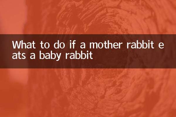 母兔吃小兔怎麼辦