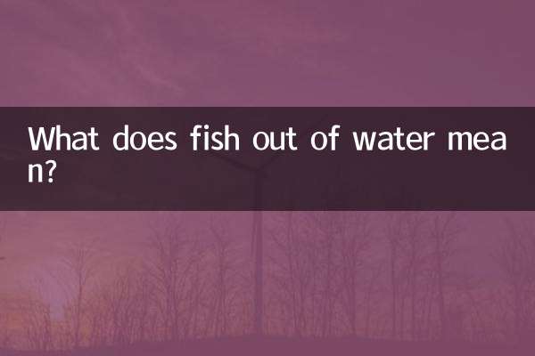 Was bedeutet Fisch außerhalb des Wassers?