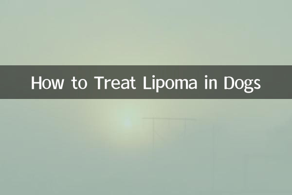 怎么治疗脂肪瘤狗