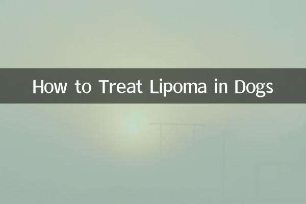 怎么治疗脂肪瘤狗