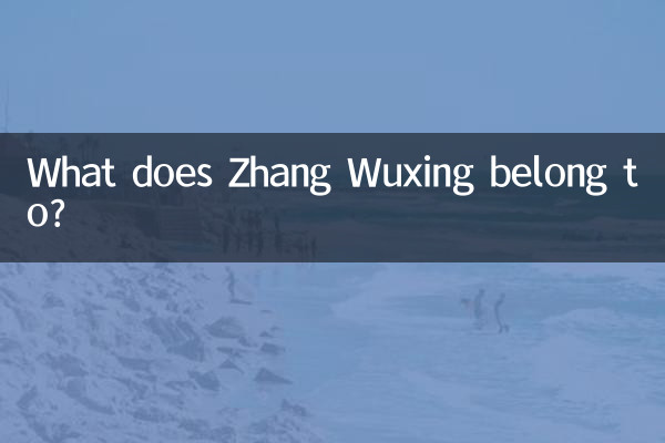장오싱(Zhang Wuxing)은 어떤 사람에 속합니까?