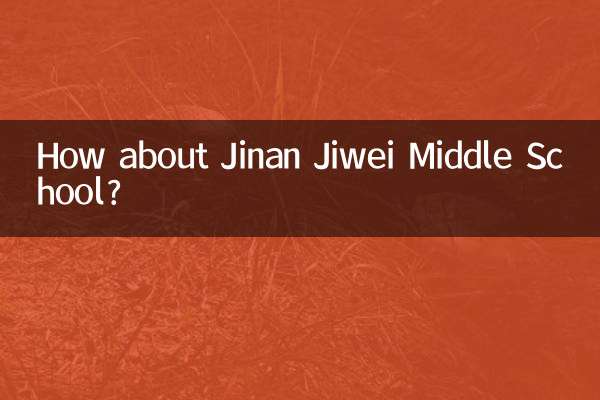 مدرسه راهنمایی جینان جیوی چطور؟