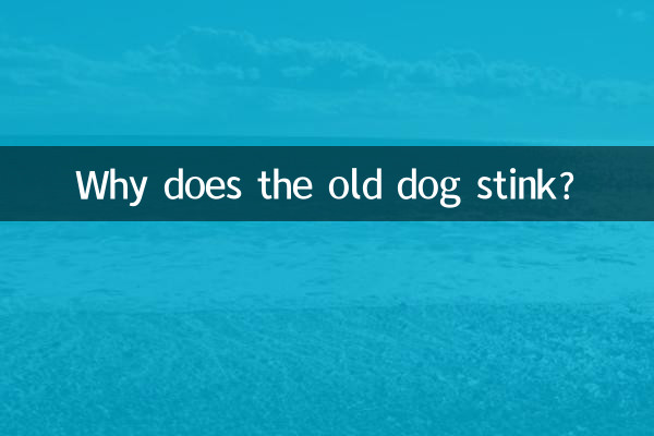 老犬はなぜ臭いのですか？