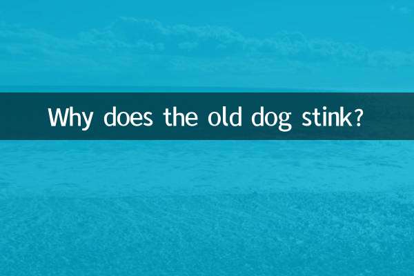 Perché il vecchio cane puzza?