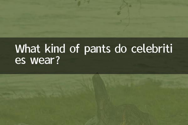 ما نوع السراويل التي يرتديها المشاهير؟