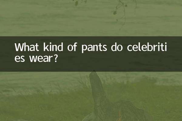 ما نوع السراويل التي يرتديها المشاهير؟