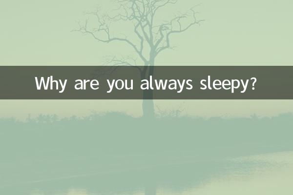 তুমি সবসময় ঘুমিয়ে থাকো কেন?