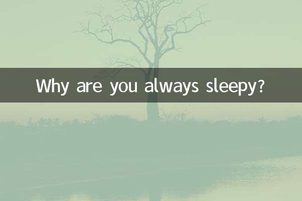 তুমি সবসময় ঘুমিয়ে থাকো কেন?