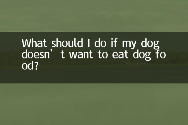 What should I do if my dog doesn’t want to eat dog food?
