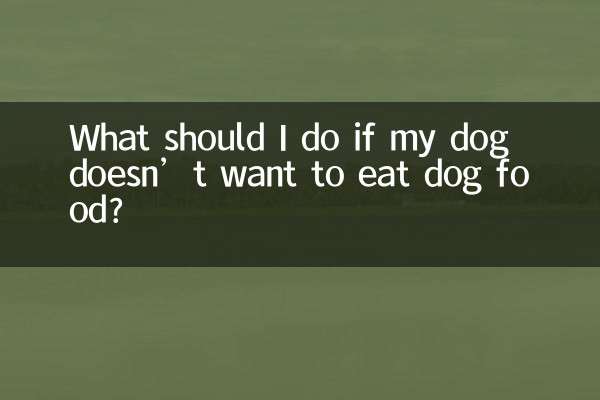 What should I do if my dog doesn’t want to eat dog food?