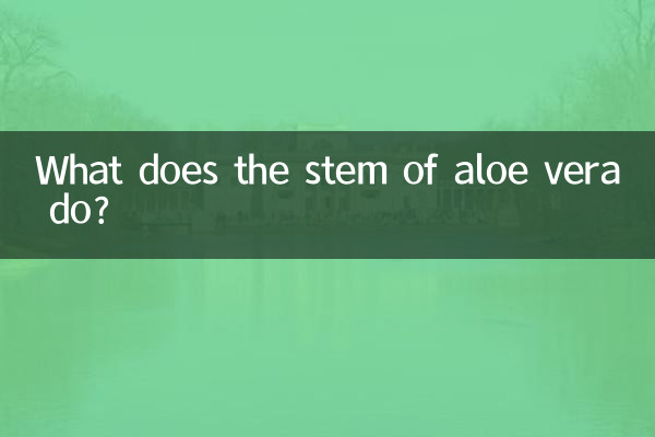 What does the stem of aloe vera do?