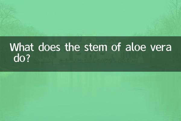 What does the stem of aloe vera do?