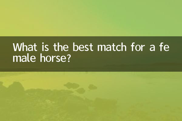 What is the best match for a female horse?