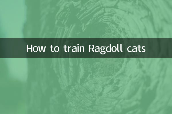 راگڈول بلیوں کو تربیت دینے کا طریقہ