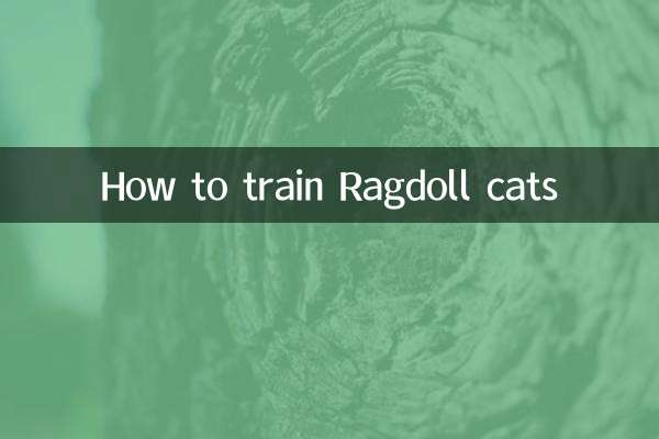 راگڈول بلیوں کو تربیت دینے کا طریقہ