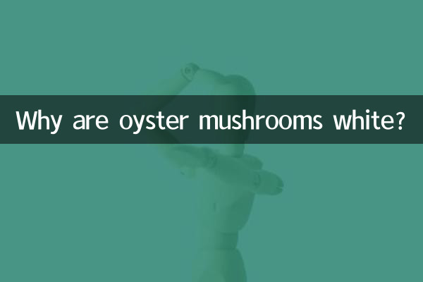 ¿Por qué los hongos ostra son blancos?