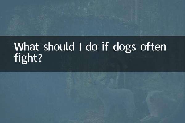 Que dois-je faire si les chiens se battent souvent ?