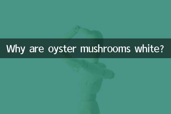 느타리버섯은 왜 흰색일까요?