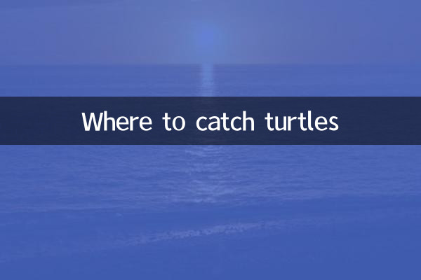 donde pescar tortugas