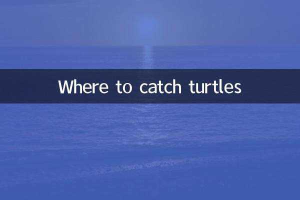 donde pescar tortugas