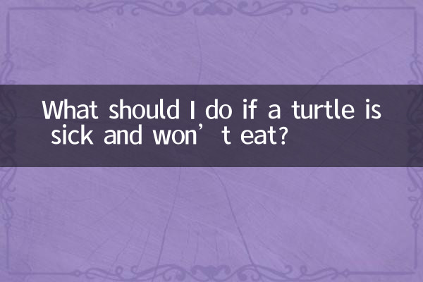 Что делать, если черепаха заболела и не ест?