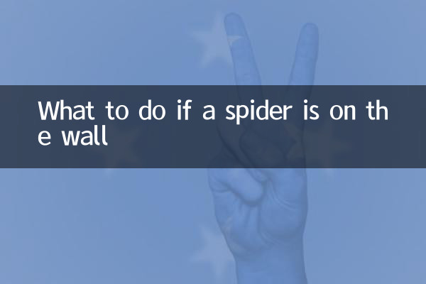 দেয়ালে মাকড়সা থাকলে কি করবেন