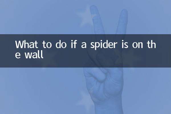 蜘蛛在墙上怎么办