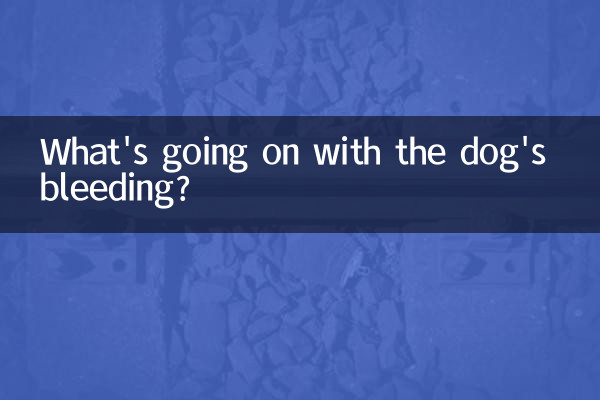 Was ist mit der Blutung des Hundes los?