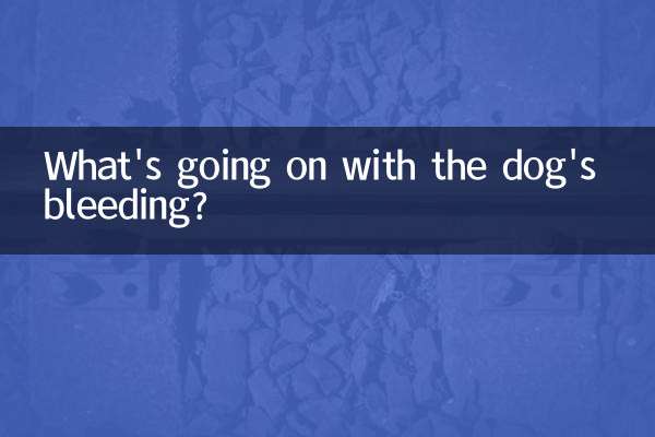 Was ist mit der Blutung des Hundes los?