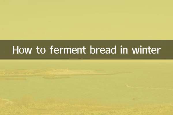 How to ferment bread in winter