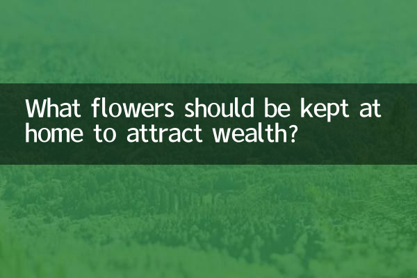 家养什么花招财