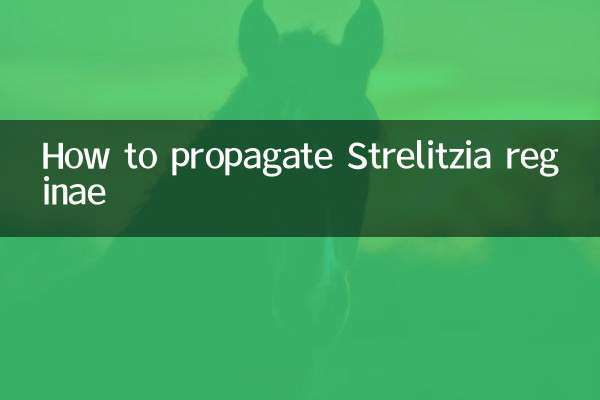 اسٹریلیٹزیا ریجینا کو کیسے پروپیگنڈہ کریں