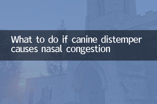 ماذا تفعل إذا تسبب حمى الكلاب في احتقان الأنف؟