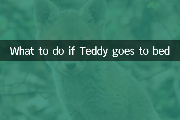 テディが寝たらどうするか